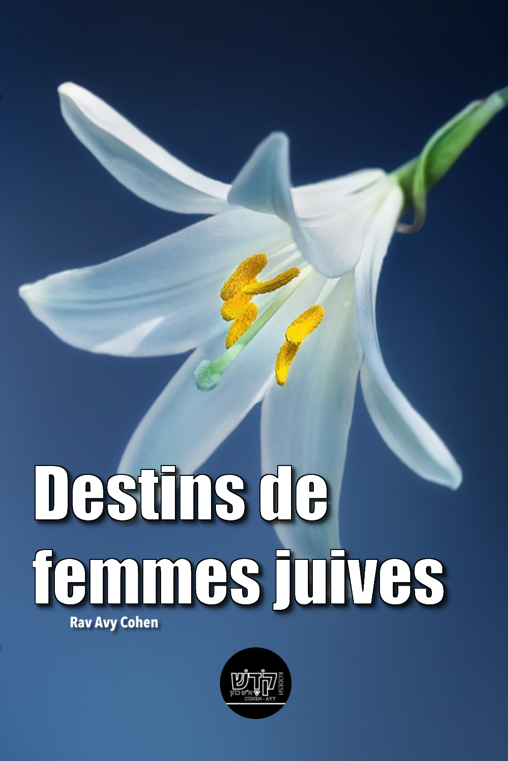 Couverture de Destin de femmes juives